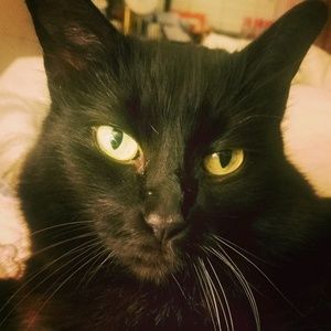 Meet your Posher, Genevieve